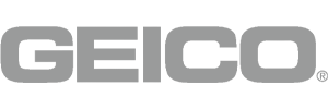 Geico-V2